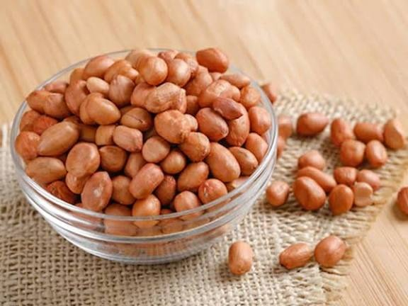 Oil Seeds